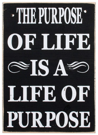 The Purpose of Life is a Life of Purpose