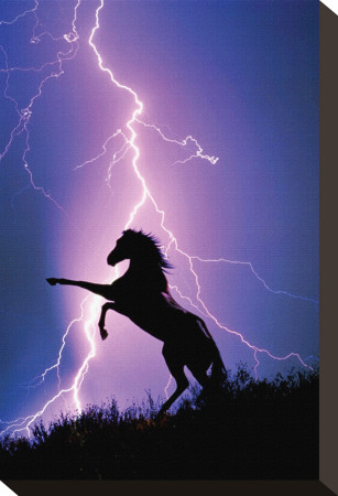 Lightning and Silhouette of a Horse