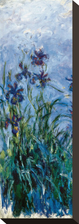 Buy Iris Mauve (detail) at AllPosters.com