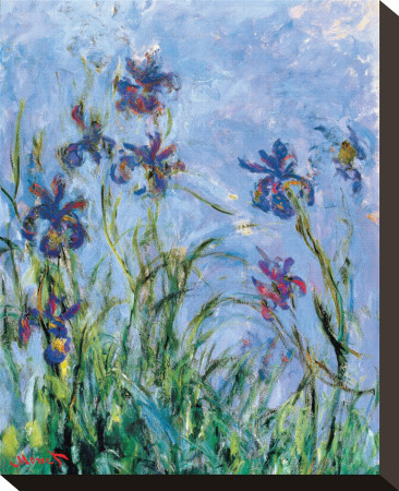 Buy Irises (detail) at AllPosters.com