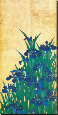 Irises, Japanese