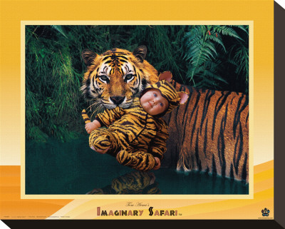 Buy Tiger at AllPosters.com