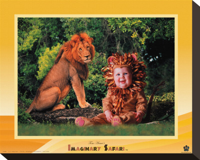 Buy Lion at AllPosters.com