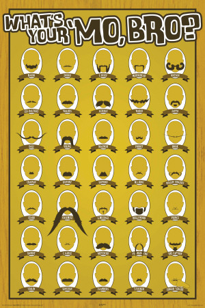 Buy What's Your Mo, Bro? at AllPosters.com