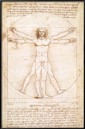 Buy Human Proportions - Vitruvius Man at AllPosters.com