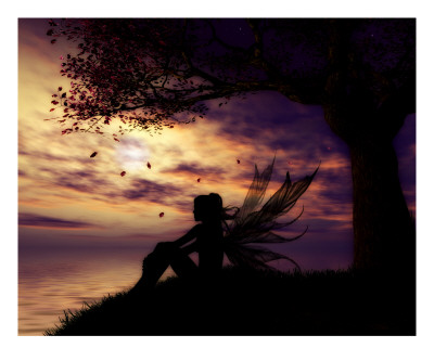 The Dreamer