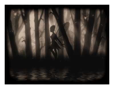 Enchanted Glimpse