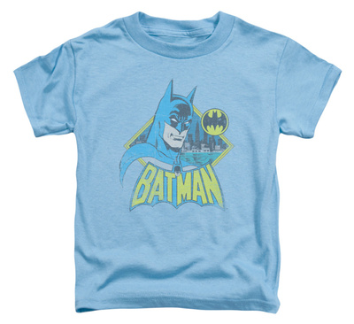 Toddler: Batman & Robin - Watch Yourself