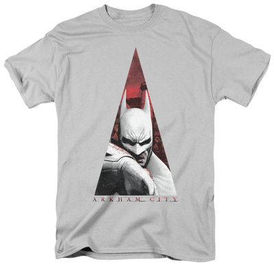 Batman Arkham City - Bat Triangle