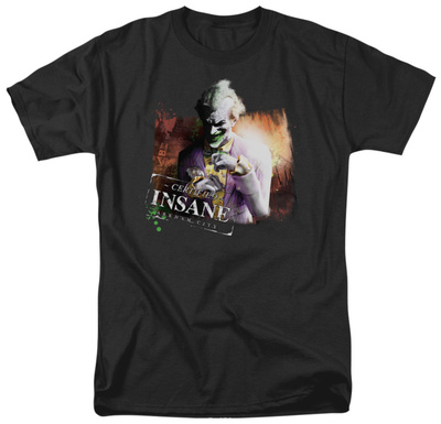 Batman Arkham City - Certified Insane