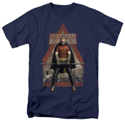 Batman Arkham City - Arkham Robin