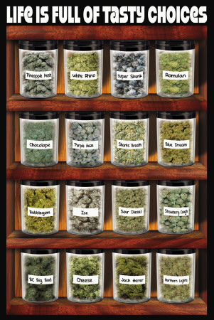 Buy Life Is Full of Tasty Choices at AllPosters.com