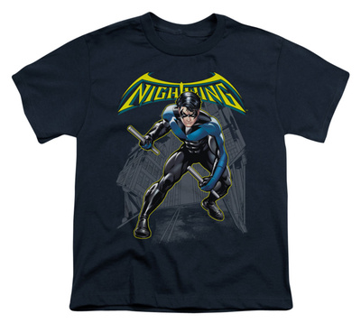 Youth: Batman - Nightwing