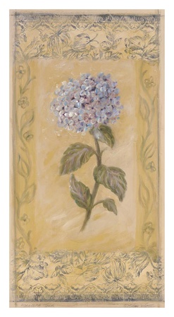 Hydrangea Toile