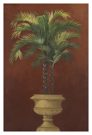 Potted Palm Red IV
