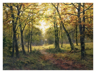 Late Summer Walk