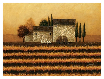 Fall Vineyard
