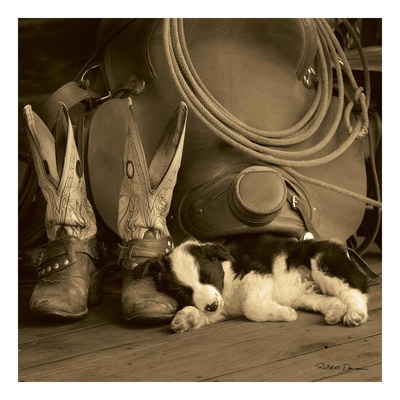 Buy Cowboy Puppy at AllPosters.com