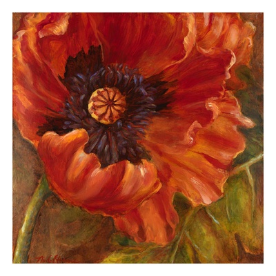 Red Poppy