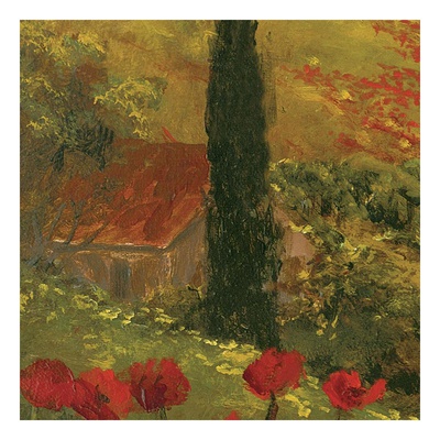 Poppies of Toscano II, no. 9