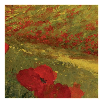 Poppies of Toscano II, no. 15