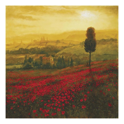 Shades of Poppies