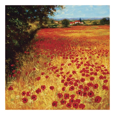 Field of Red and Gold