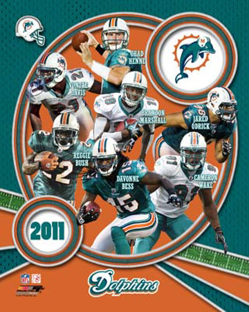 Miami Dolphins 2011 Team Composite