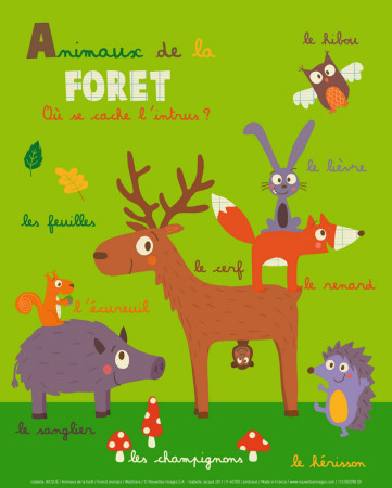 Buy Forest Animals at AllPosters.com