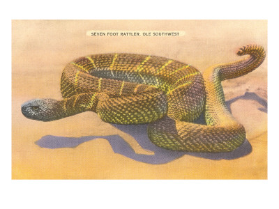 Seven-Foot Rattler, Ole Southwest