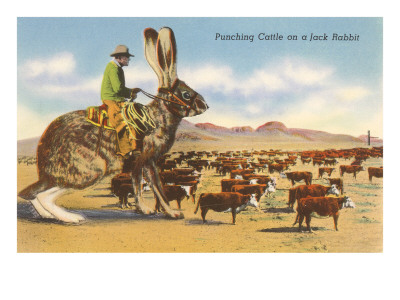 Man Herding Cattle from Giant Jack Rabbit