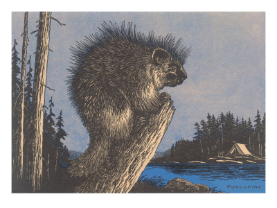 Buy Porcupine on Stump at AllPosters.com