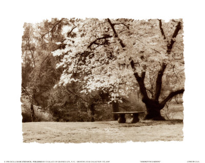 Buy Arboretum Gardens at AllPosters.com