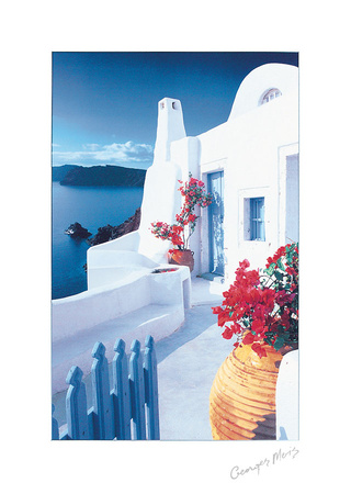 Buy Bougainvillaea Pots at AllPosters.com