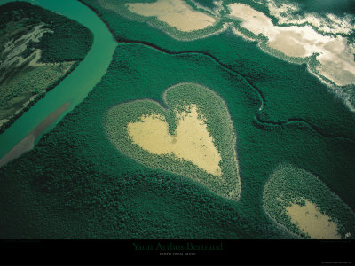 Buy Coeur de Voh at AllPosters.com