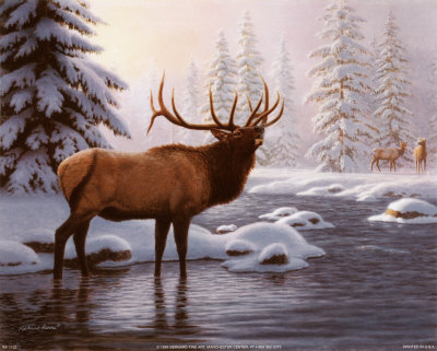 Elk II