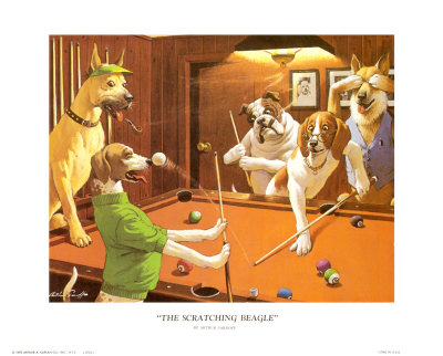 The Scratching Beagle