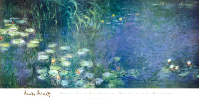 Water Lilies Morning