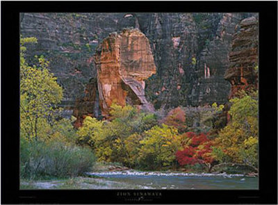 Buy Zion Sinawava at AllPosters.com