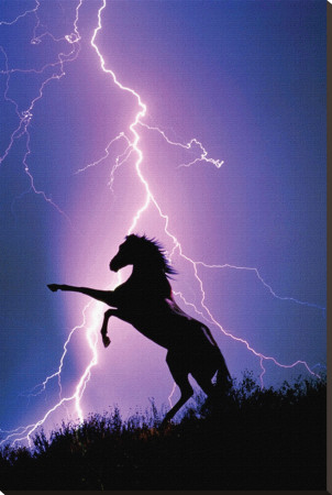Lightning and Silhouette of a Horse