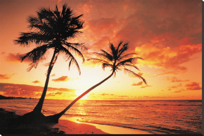 Tropical Beach Sunset