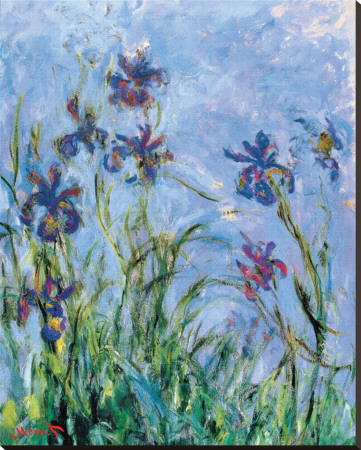 Buy Irises (detail) at AllPosters.com