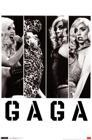 Lady Gaga - Photo Bars Posters
