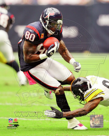 Andre Johnson 2011 Action