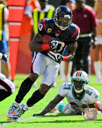 Andre Johnson 2011 Action