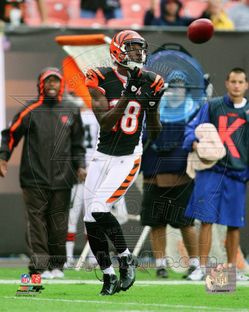 A.J. Green 2011 Action