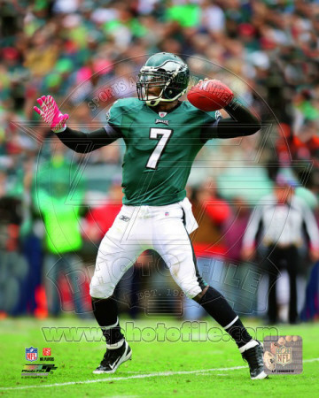 Michael Vick 2011 Action