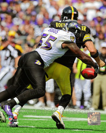 Buy Terrell Suggs 2011 Action at AllPosters.com