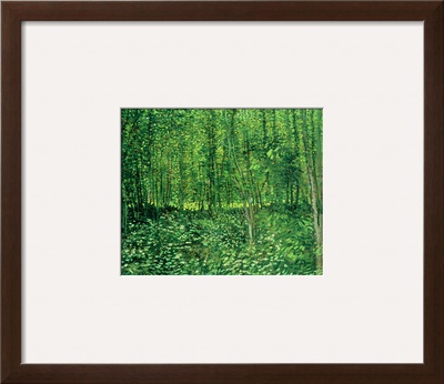 Woods and Undergrowth, c.1887