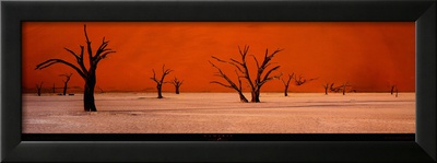 Buy Namibie at AllPosters.com